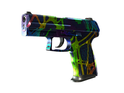 StatTrak™ P2000 | Acid Etched (Well-Worn)